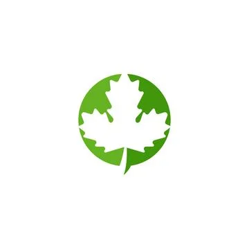 Maple leaf vector illustration Illustrazione stock