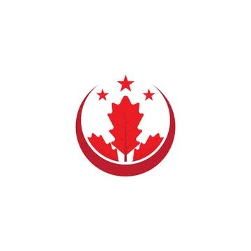 Maple leaf vector illustration Illustrazione stock