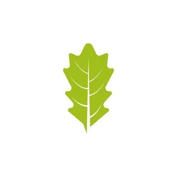 Maple leaf vector illustration Stockillustratie