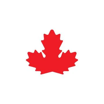 Maple leaf vector illustration 库存插图