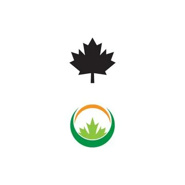 Maple leaf vector illustration 库存插图