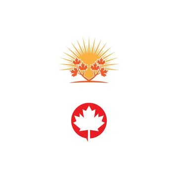 Maple leaf vector illustration 库存插图