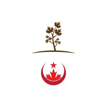 Maple leaf vector illustration 库存插图