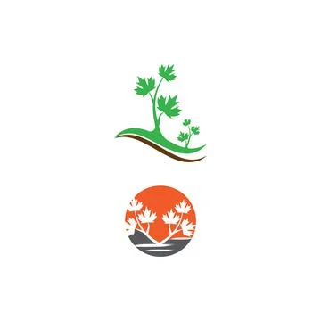 Maple leaf vector illustration Illustrazione stock