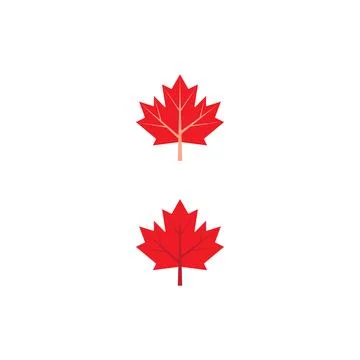Maple leaf vector illustration Illustrazione stock