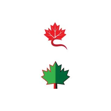 Maple leaf vector illustration 库存插图