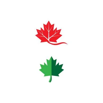 Maple leaf vector illustration Illustrazione stock