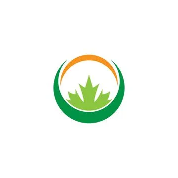 Maple leaf vector illustration 库存插图