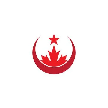 Maple leaf vector illustration 库存插图