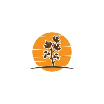 Maple leaf vector illustration 库存插图