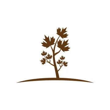 Maple leaf vector illustration Illustrazione stock