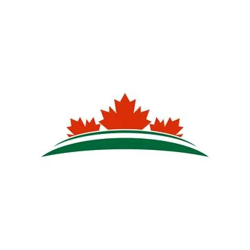 Maple leaf vector illustration Illustrazione stock