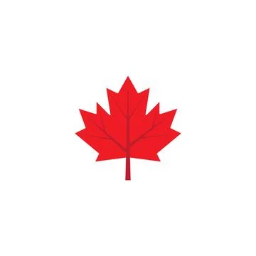 Maple leaf vector illustration 库存插图