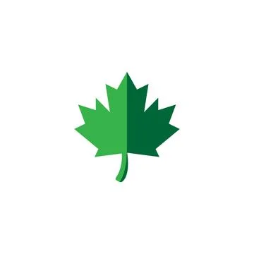 Maple leaf vector illustration 库存插图