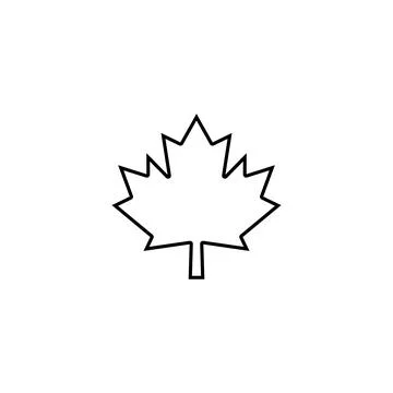 Maple leaf vector illustration Illustrazione stock