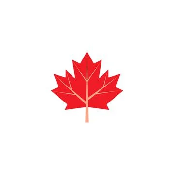 Maple leaf vector illustration 库存插图