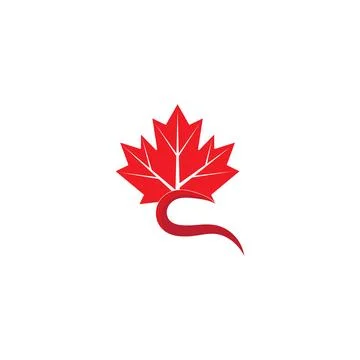 Maple leaf vector illustration Illustrazione stock