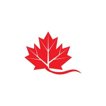 Maple leaf vector illustration 库存插图