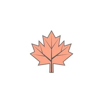 Maple leaf vector illustration 库存插图