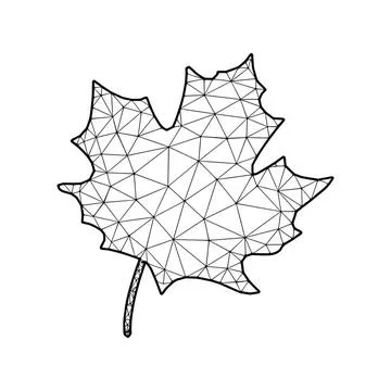 Maple Leaf vector illustration in polygonal style, isolated on white backg... Foto stock