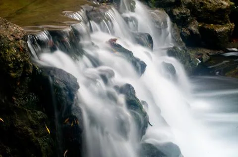 Maple leaf in waterfall Stock Photos