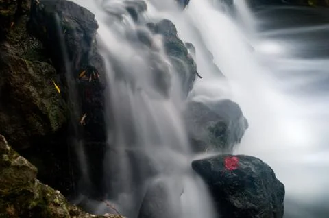 Maple leaf in waterfall Stock Photos