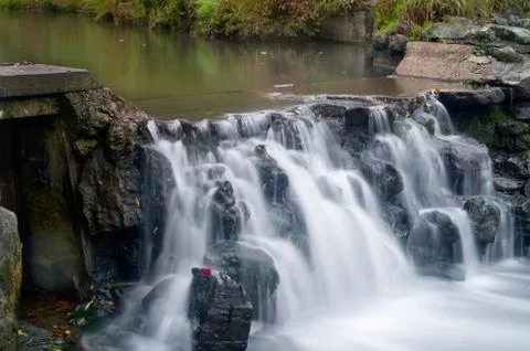 Maple leaf in waterfall Stock Photos