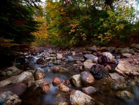 Maple leaf in waterfall Stock Photos