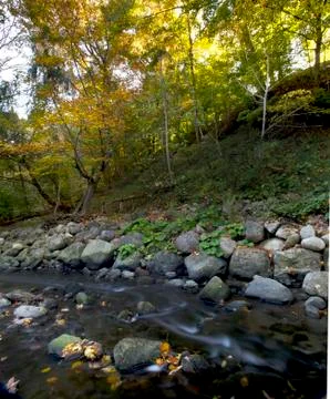 Maple leaf in waterfall Stock Photos