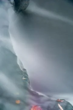 Maple leaf in waterfall Stock Photos