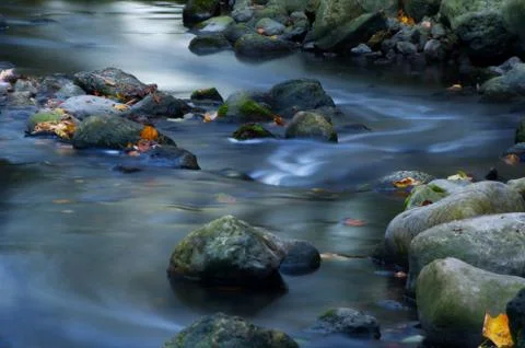 Maple leaf in waterfall Stockfoto's