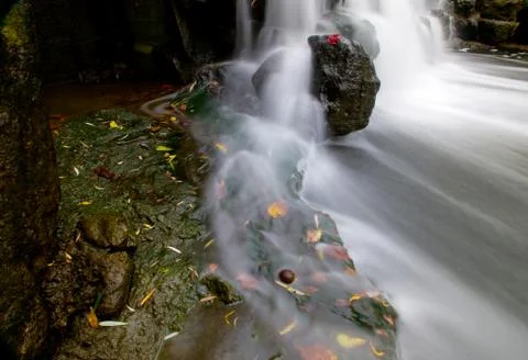 Maple leaf in waterfall Stock Photos