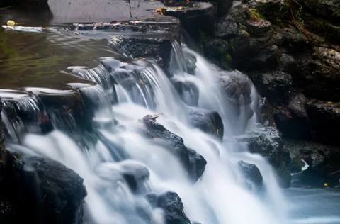Maple leaf in waterfall Stock Photos