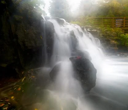 Maple leaf in waterfall Stock Photos