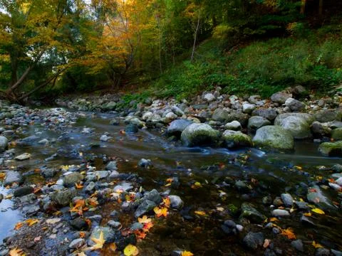 Maple leaf in waterfall Stock Photos