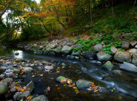Maple leaf in waterfall Stock Photos