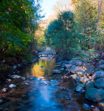 Maple leaf in waterfall Stock Photos