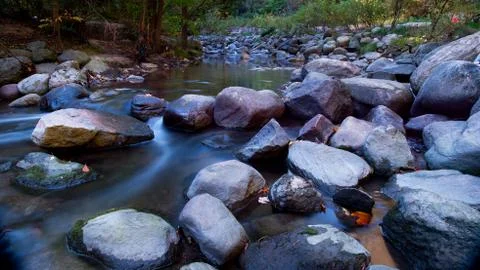 Maple leaf in waterfall Stock Photos