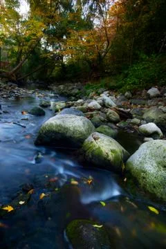 Maple leaf in waterfall Stock Photos