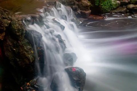 Maple leaf in waterfall Stock Photos