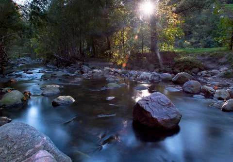Maple leaf in waterfall Stock Photos