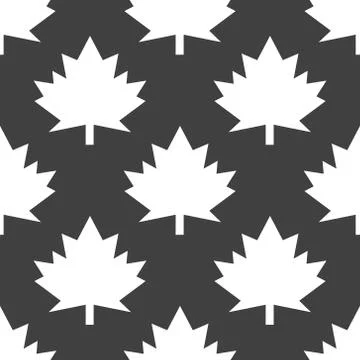 Maple Leaf wb icon. flat design. Seamless gray pattern. 库存插图
