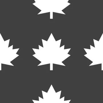 Maple Leaf wb icon. flat design. Seamless gray pattern. 库存插图