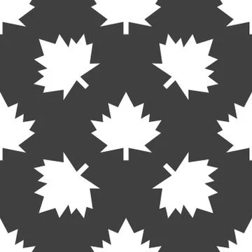Maple Leaf wb icon. flat design. Seamless gray pattern. Stockillustratie