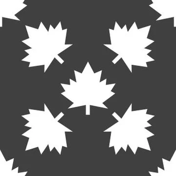 Maple Leaf wb icon. flat design. Seamless gray pattern. 库存插图