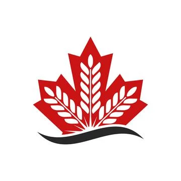 Maple Leaf Wheat Vector Logo Template 库存插图