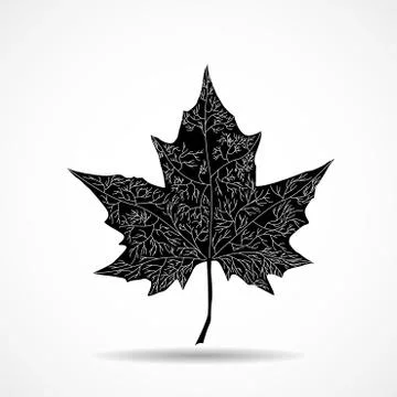 Maple leaf on white background. Vector illustration Stock Illustration