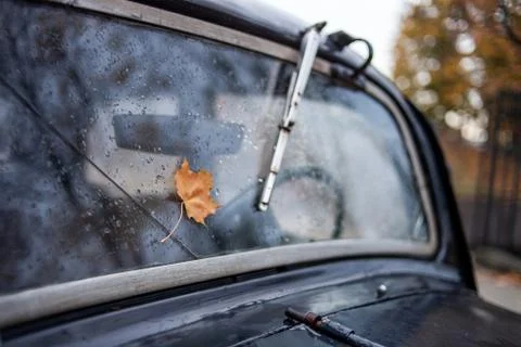 Maple leaf on the windshield Stock Photos
