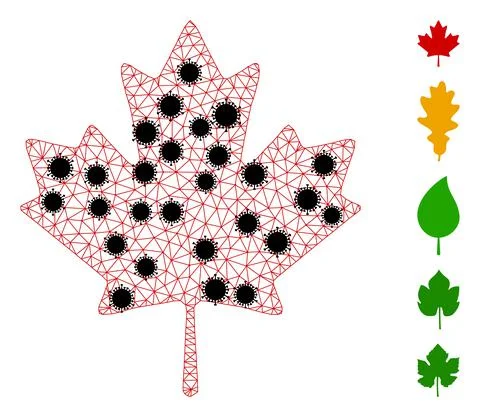 Maple Leaf Wire Frame Mesh Pictogram with Infection Nodes Illustrazione stock