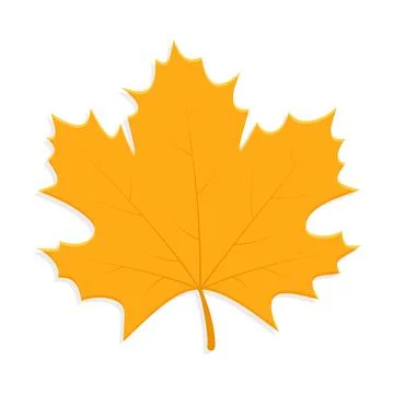 Maple leaf yellow Stock Illustration